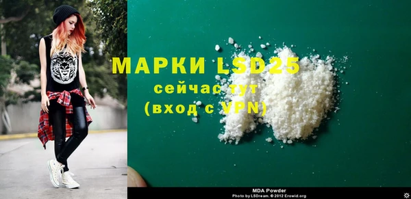 индика Арсеньев
