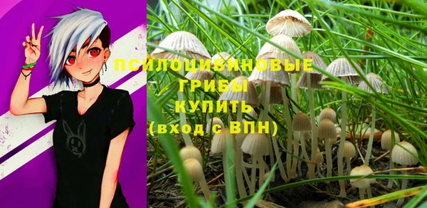 индика Арсеньев