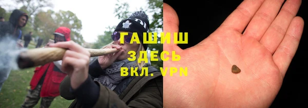 индика Арсеньев