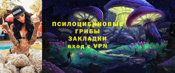 индика Арсеньев
