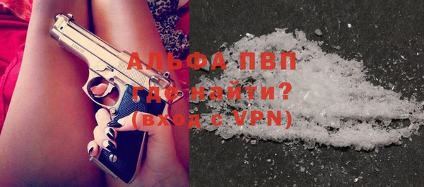 индика Арсеньев