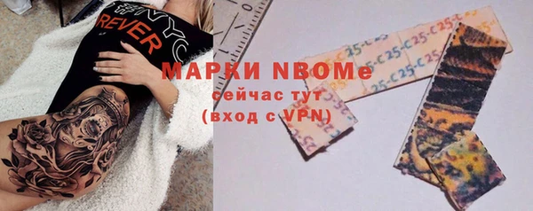 индика Арсеньев