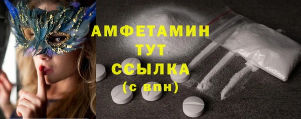 индика Арсеньев