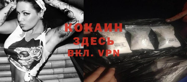 индика Арсеньев