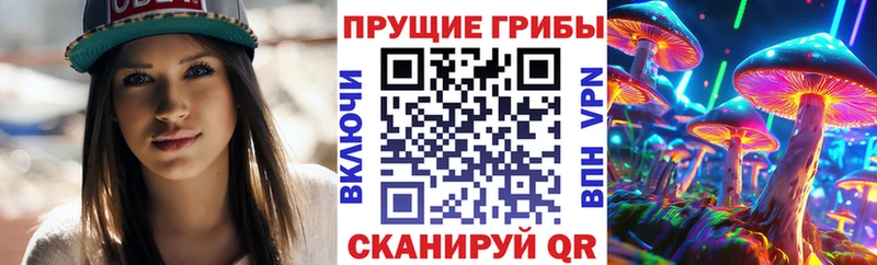 Псилоцибиновые грибы Cubensis  Купить  Вилючинск 